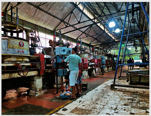 Arts(Automatic Rolling Table System) for Tea Factory gallery image